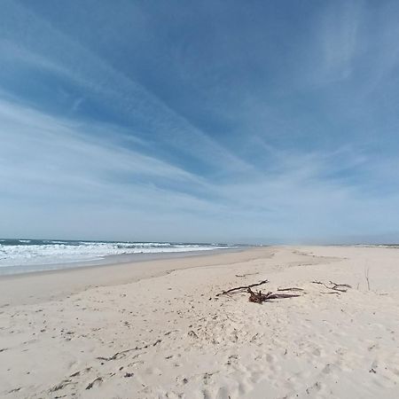 Apartment Close To The Ria De Aveiro, Sao Jacinto Zewnętrze zdjęcie